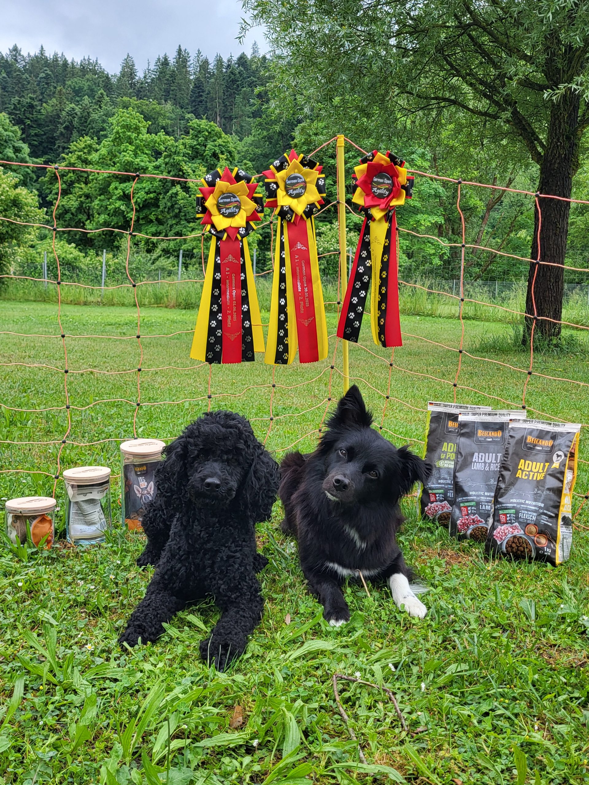 Agility German Open 2025