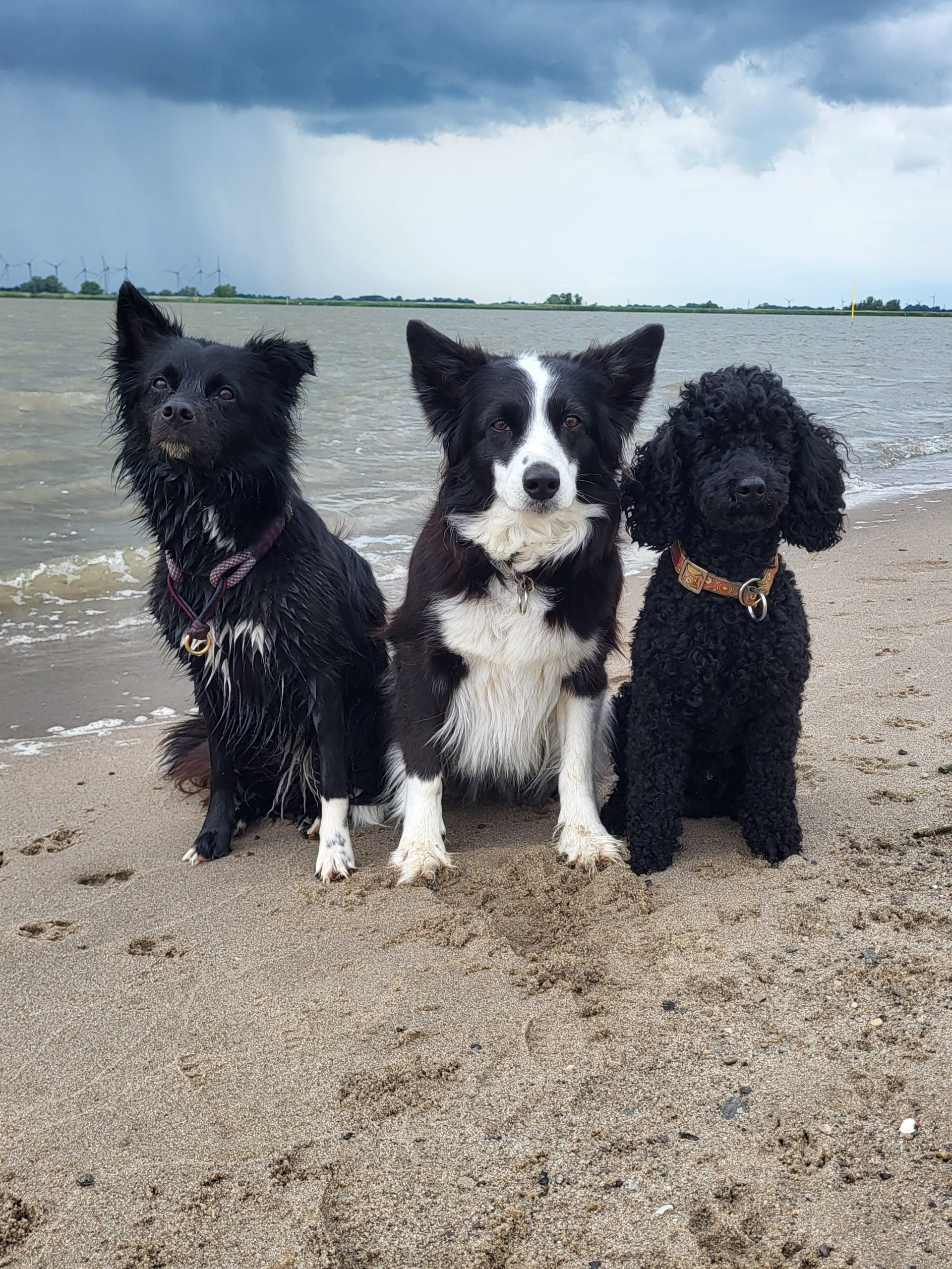 Nordseeturnier 2025 Weser Strand Sandstedt
