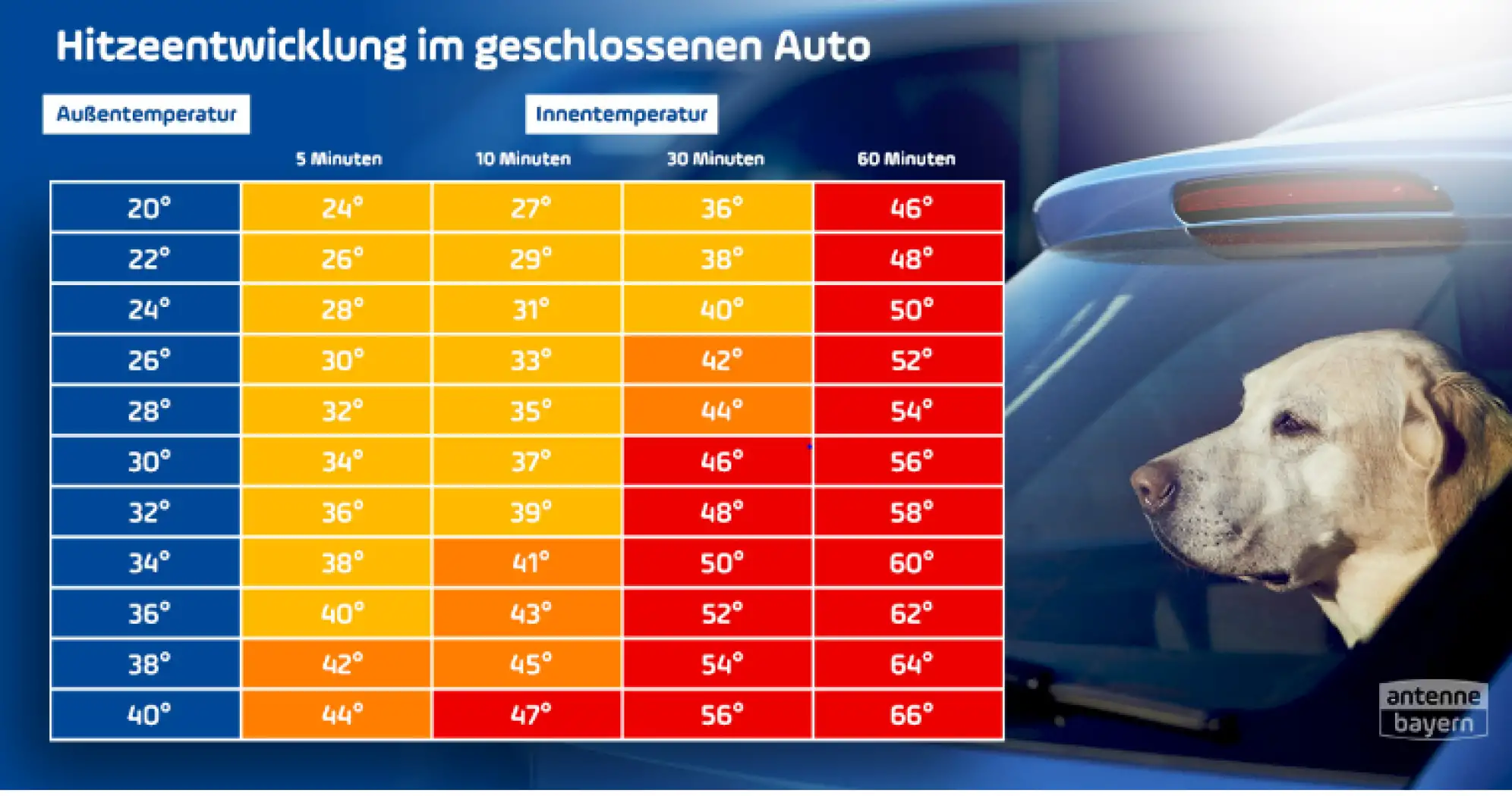 Hund im Sommer - so schnell heißt sich ein Auto auf