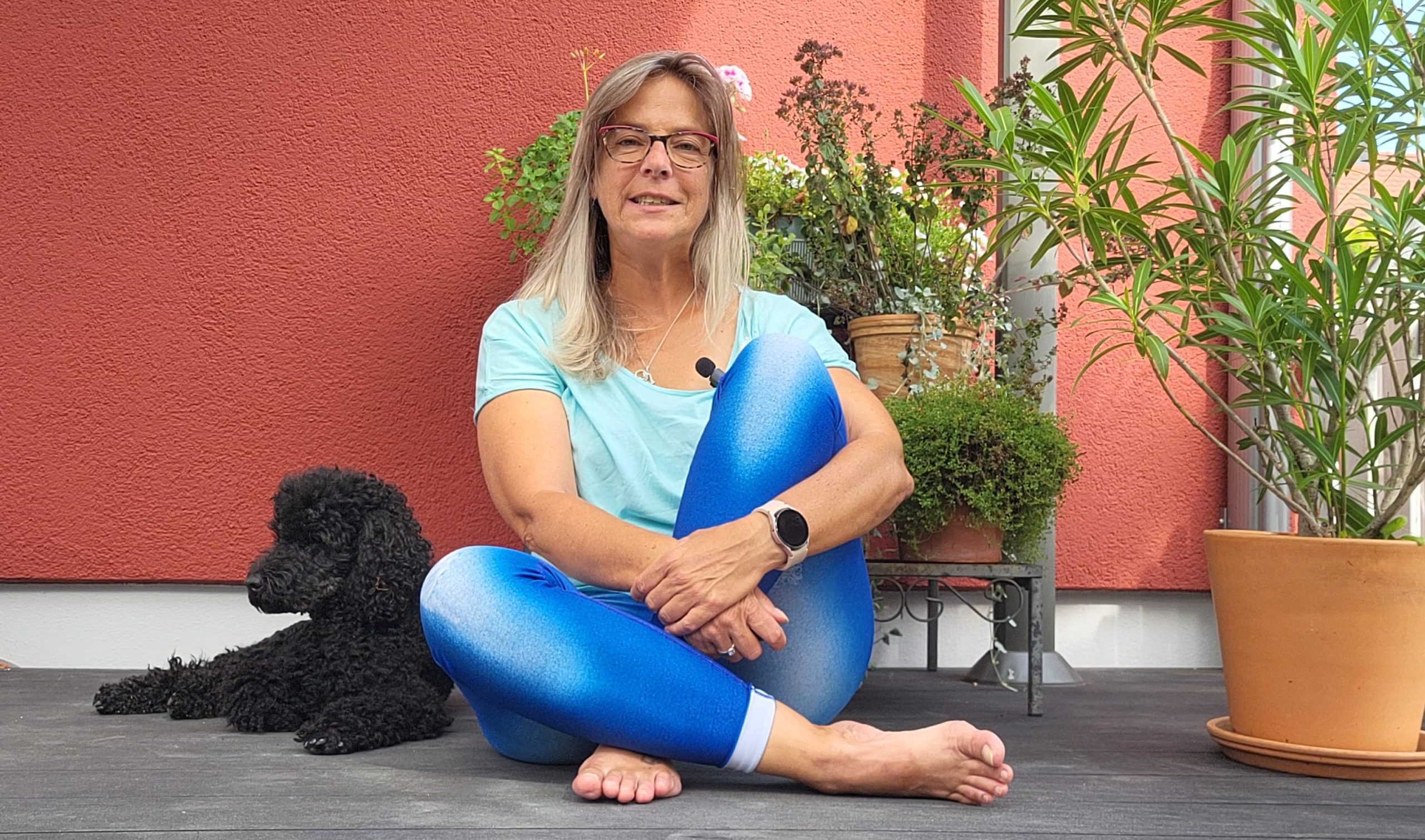 Hundeschule Kissing Mering Augsburg