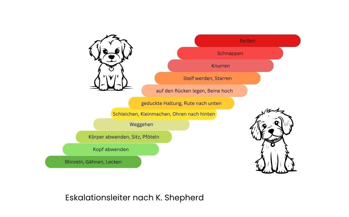 Eskalationsleiter der Aggressivität bei Hunden nach K. Sheperd