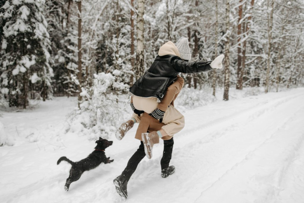 Spielend zum Team Mensch Hund Beziehung