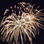 Silvester mit Hund Silvesterangst Feuerwerk