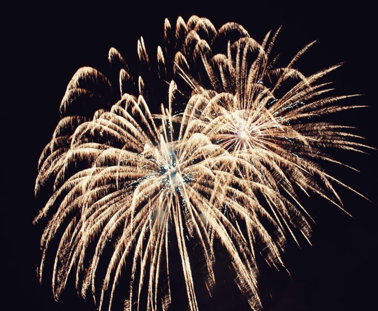 Silvester mit Hund Silvesterangst Feuerwerk