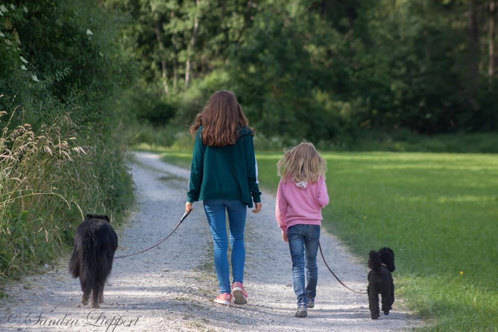 Kommunikation Mensch-Hund