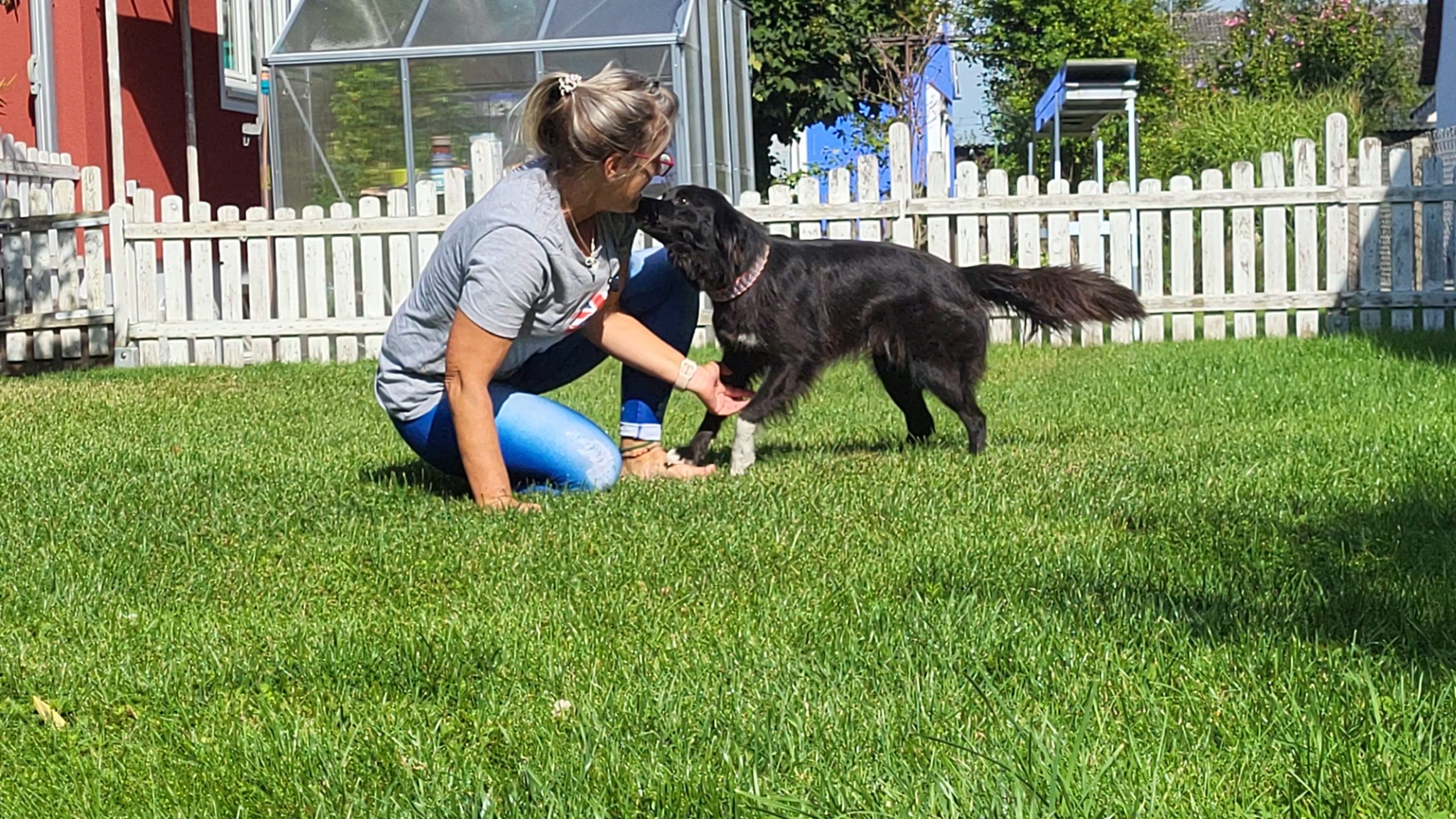 Spielen mit Hund stärkt die Beziehung und die Bindung