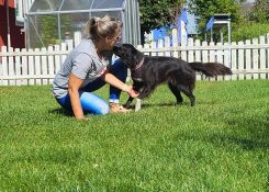 Spielen mit Hund stärkt die Beziehung und die Bindung