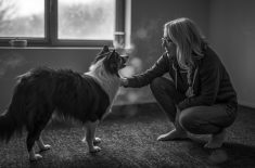 Training Winter Border Collie Wintertraining Hundeschule Kissing Mering Königsbrunn